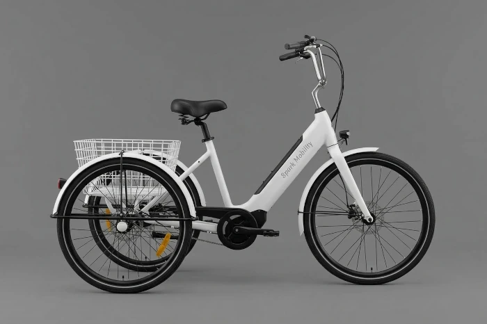 Therapierad Dreirad Anpassung